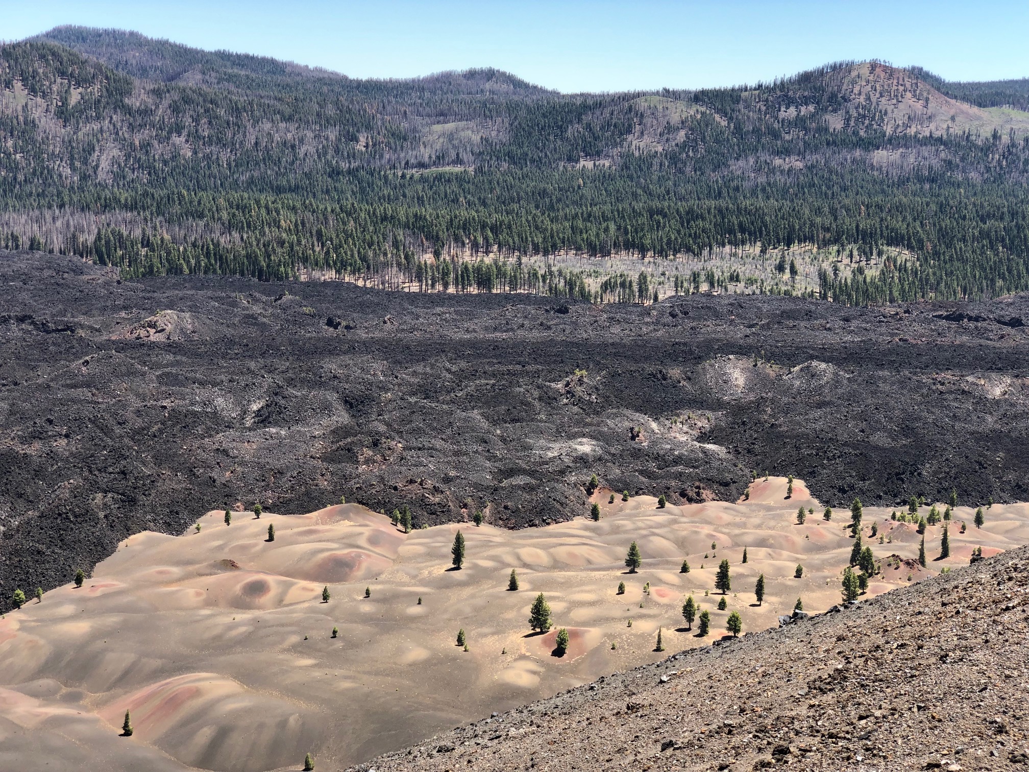 Bands of lava and pale volcanic dunes dotted with small trees